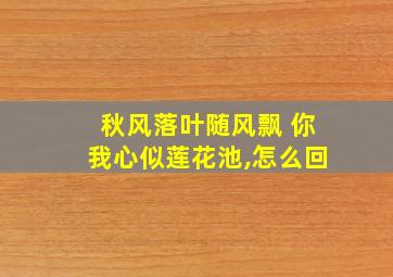 秋风落叶随风飘 你我心似莲花池,怎么回